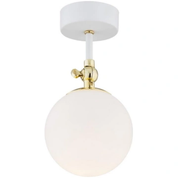 Argon 4002 - Vannas istabas griestu lampa LATINA 1