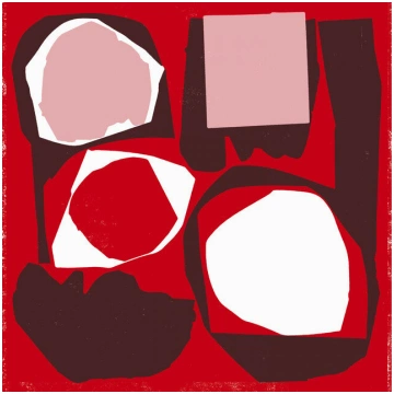 Various - Mr Bongo Record Club Volume Five