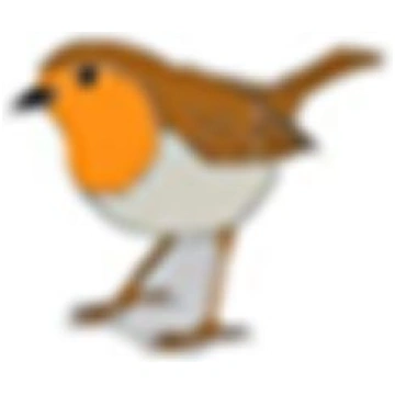 Motacilla, nozīmīte, sarkanrīklīte