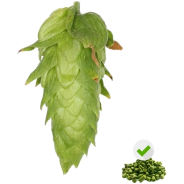 Cascade hops - 25 g