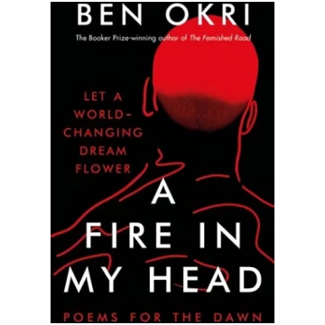 Fire in My Head