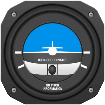 Magnet Instruments: Bille LA BOUTIQUE DU PILOTE
