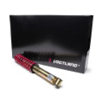 BMW 5 E39, Typ 5/D, Touring, HA with air suspensio