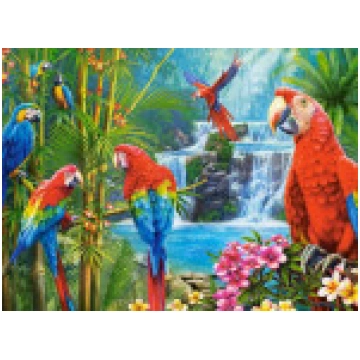 Castorland Puzzle Parrot Meeting 2000 gab GXP-8791