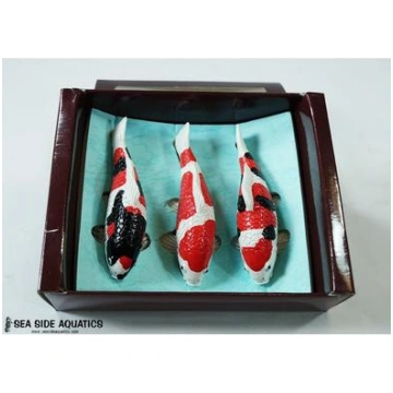 Koi Replica - Magnets Seaside Aquatics