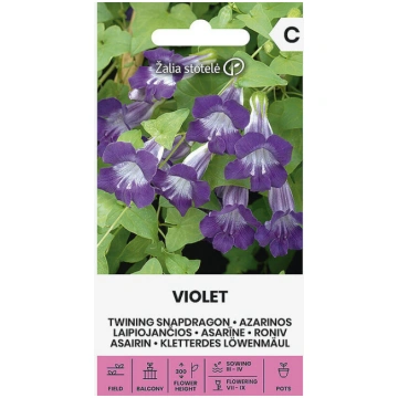 ASARĪNE VIOLET Žalia stotelė