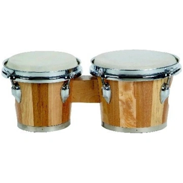 BS Bongo 1117936