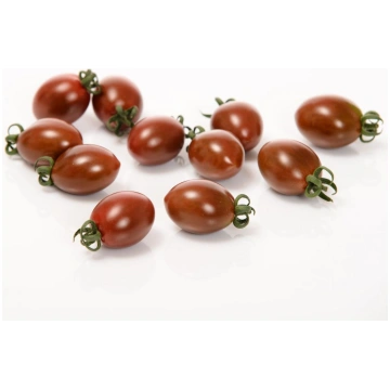 Tomāti Chocostar F1 5 sēklas, Tomāti , Dārzeņu sēk