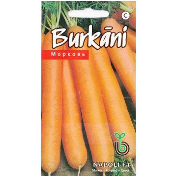 Burkāni Napoli F1 sēklas 1gr Kurzemes sēklas