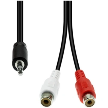 Kabel ProXtend Mini-Jack 3-Pin to 2 x RCA Cable M-