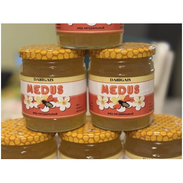 Pavasara medus 0,3 l Ziedkalnes stropi