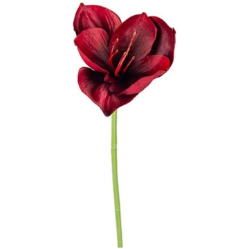 Amarillis 40cm burgundija