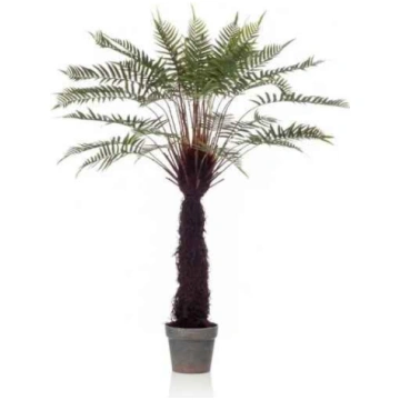 Lietots - Fern dicksonia 125cm