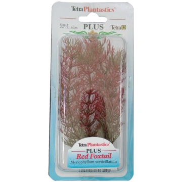 Dekoratīvs augs akvārijam – Tetra Red Foxtail S