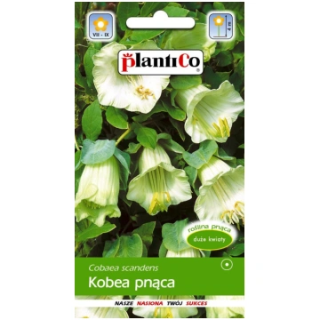 Kobejas baltas. 0,5g