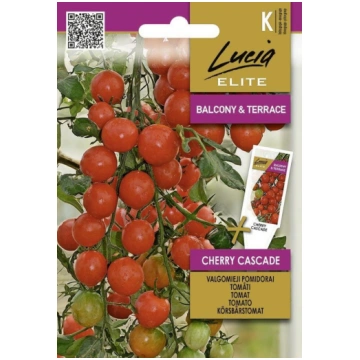 Tomāti CHERRY CASCADE 0,1g (LE) Darzinam.lv