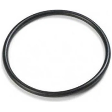 INTEX - 10262 - Guarnizione per valcola plunger