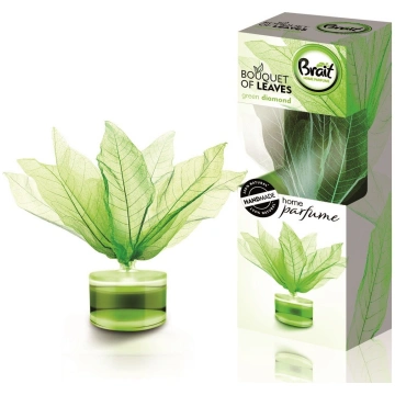 Mājas aromatizētājs Brait Bouquet of Leaves Green 