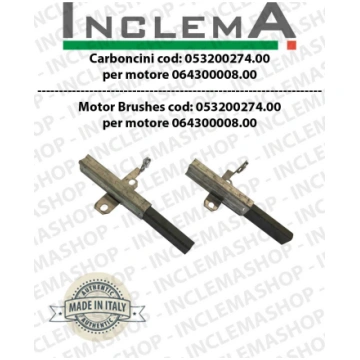 Couple of Brushes Ametek mod: 053200274.00 validi 