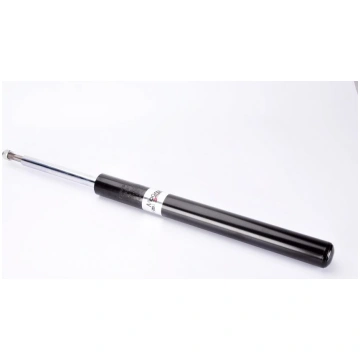 Amortizators MAGNUM TECHNOLOGY AGB019MT