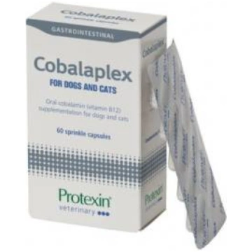 Protexin Cobalaplex prebiotikas piedevas suņiem un