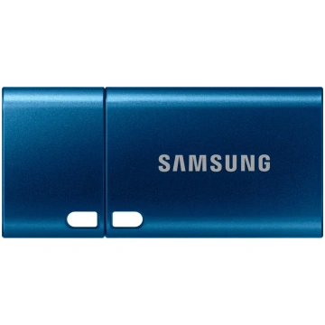 SAMSUNG SAMSUNG USB Type-C 64GB USB 3.1 Flash sams