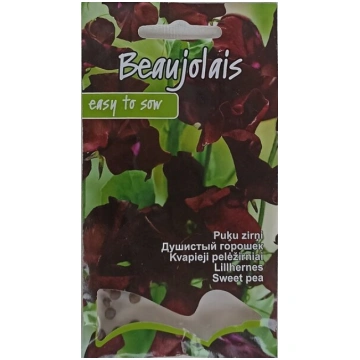 Puķu zirņi Beaujolais, Kurzemes sēklas
