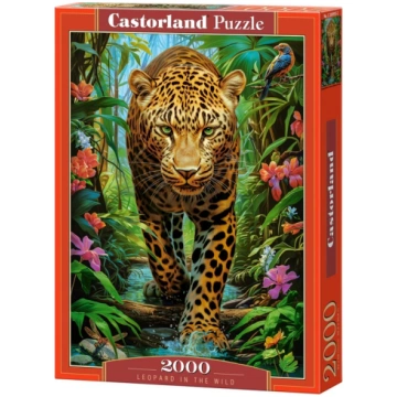 Puzzle 2000 pieces Leopard in the Wild CASTORLAND