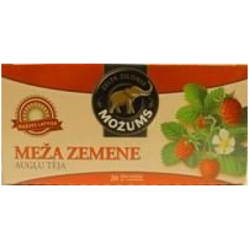 Augļu tēja MOŽUMS Meža Zemene, ar virvīti, 20x1.5g