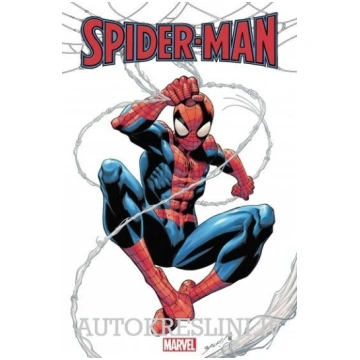 Disney Krēsla aizsargplēve SpiderMan