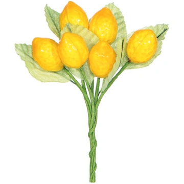 Pick 6 lemons with leaves Casolaro Hotellerie