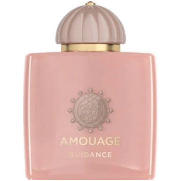 Amouage Guidance EDP 100ml 701666410454