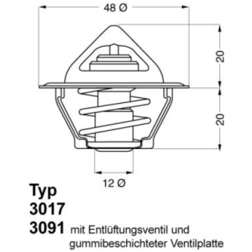 BorgWarner (Wahler) 301792D2 Termostats, Dzesēšana
