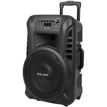 Active speaker (with 2 wireless microphones, SD, B