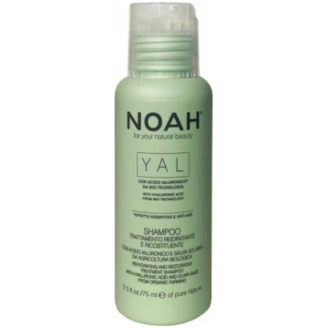 YAL Rehydrating And Restorative Treatment Shampoo 