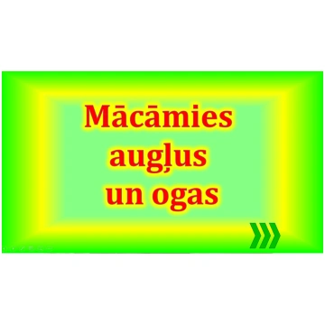 Interaktīvais mācību materiāls augļu un ogu apguve