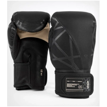 Boxing gloves Venum Tecmo 2.0
