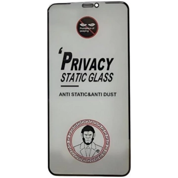 LCD aizsargstikls ESD Anti-Static Samsung S731 S25