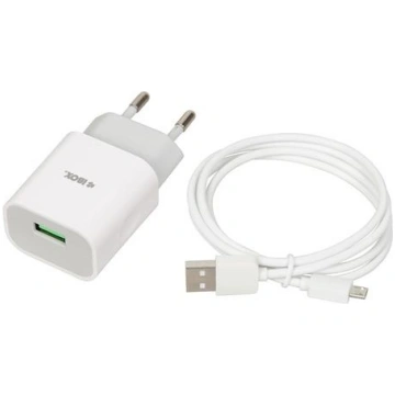 iBOX C-41 universal charger with micro USB cable w