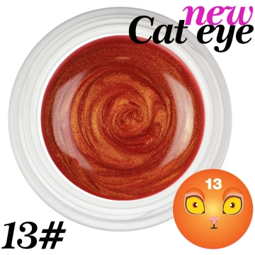 Cat Eye Gel color Uv Magnetici - #13 Beauty Space 