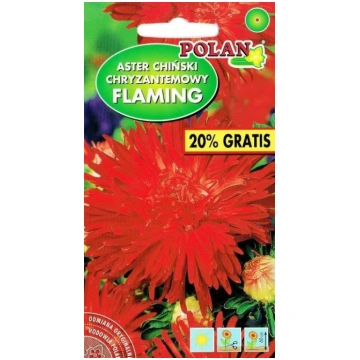 Asteres Flaming 1,2g, P, Polan Polija, Sēklas mazā