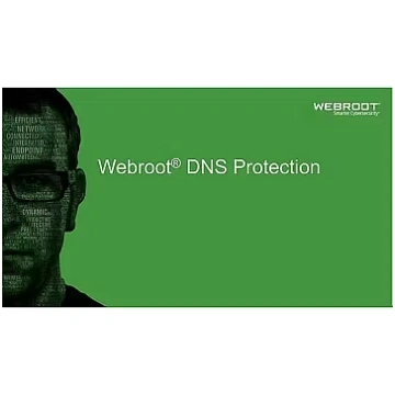 Webroot DNS Protection with GSM Console, 1 year(s)