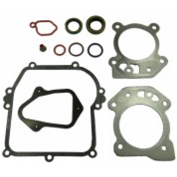 Blīvju komplekts BRIGGS&STRATTON 450 500 550 OHV (