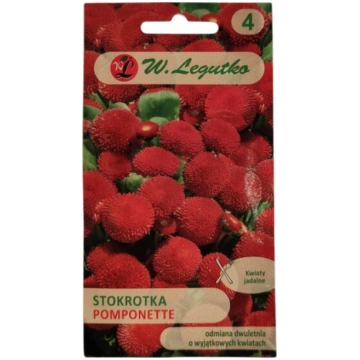 Mārpuķītes pomponu sarkanas W.Legutko W. Legutko