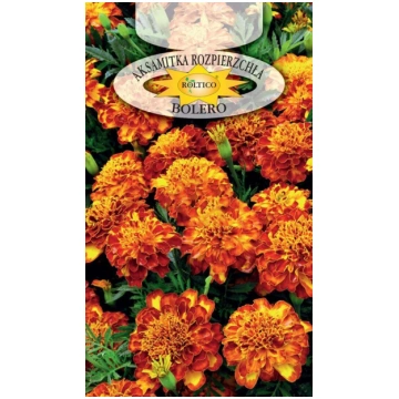 Samtenes Bolero, Roltico, 1 g