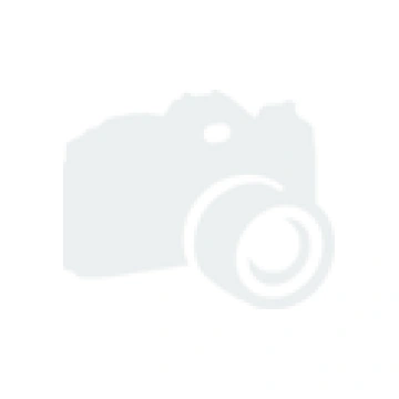 Priežu pumpuri
