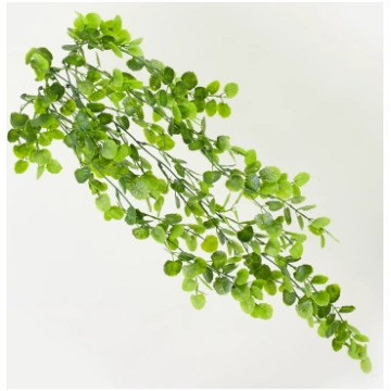 Nokarenie zāļumi H75cm
