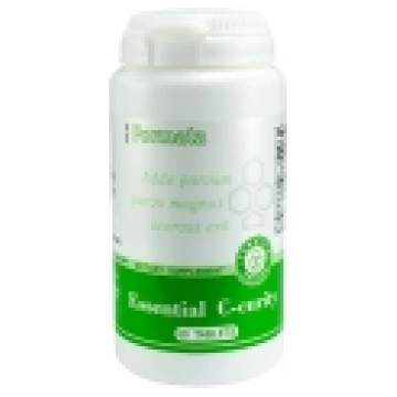 Essential C-curity (60)