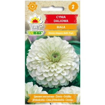Sēklas Cinnijas baltas 1g NL181491.34 590759550147