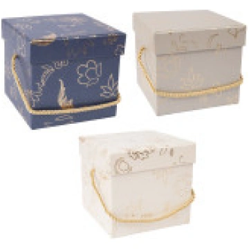 Kaste GLORY H12cm, ar vāku, miks Home4you 85863